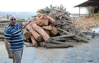 Pandemi sürecinde odun ve kömür tüketimi arttı