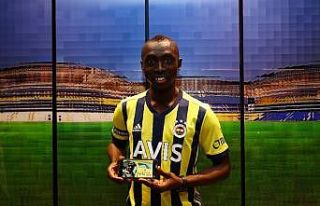 Papiss Cisse, Fenerbahçe’de
