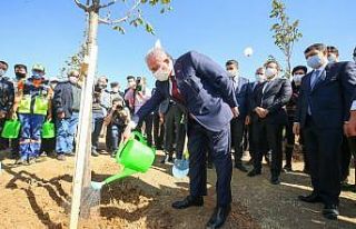 Parlamento gazetecilerine Ihlamur Ormanı