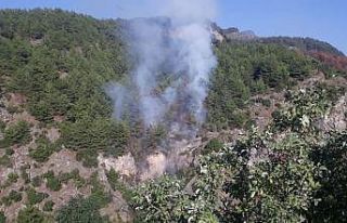 Payas’taki orman yangınında 1 hektar alan zarar...