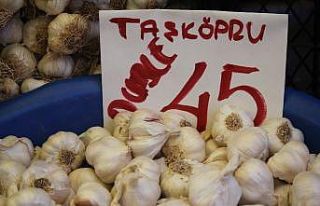 Pazarın şampiyonu ’sarımsak’