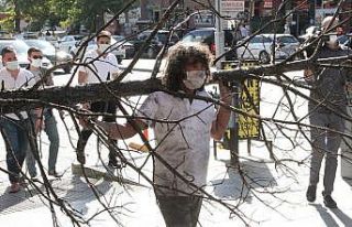 Profesör orman yangınlarına dikkat çekmek için...