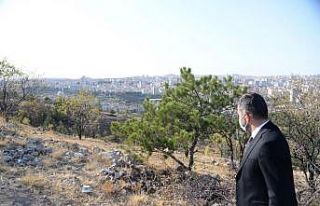 Pursaklar‘da yeşil alan seferberliği