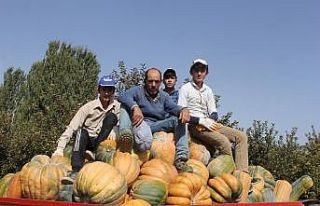 Rekoltesi bin tonun üzerine çıkan Isparta’nın...
