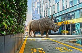 Rhinos Bac in Town sergisi Ataşehir’de