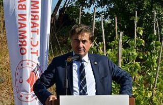 Safranbolu’da 100 dönümlük ‘Aromatik Bitki...