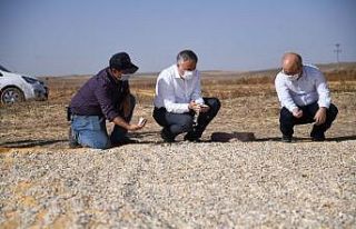 Şahin, "Kırsal alandaki gelişme ülkenin kalkınmasında...