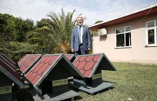 Sahipsiz kedilere sıcak yuva