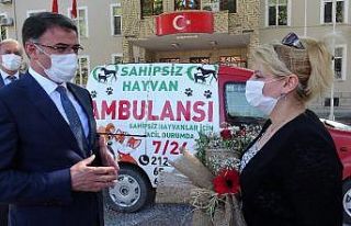 Sahipsiz yaralı hayvanlara ambulans hizmeti
