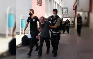 Sahte senet çetesi hem hattat tutmuş hem bilirkişi