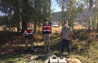 Saka kuşu avcıları suçüstü yakalandı