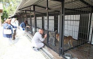 Salgın önlemleri kapsamında Odunpazarı Geçici...