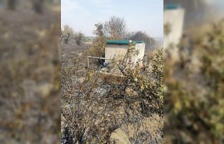Samandağ’da bahçede yangın