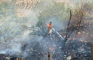 Samandağ’da örtü yangını korkuttu