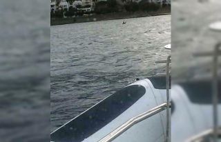 Şambrelle Kos adasına yüzerek geçmeye çalıştı