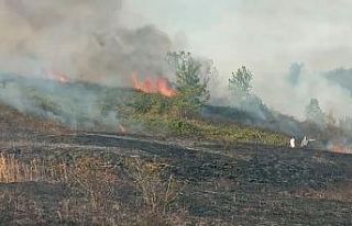 Samsun’da anız yangını