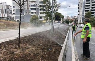 Samsun’da peyzaj alanlarında verimli sulama dönemi