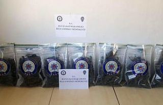 Samsun’da şafak baskınında 1 kilo 920 gram esrar...