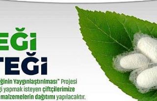 Şanlıurfa’da ipek böcekçiliğinin yaygınlaştırılmasına...