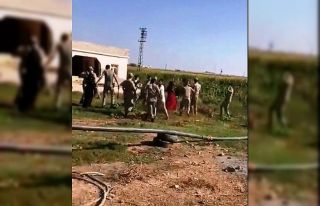 Şanlıurfa’da kaçak elektrik arbedesi: 1 asker...
