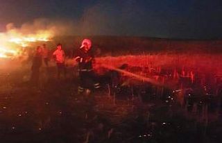 Şanlıurfa’da mısır tarlasındaki yangın korkuttu