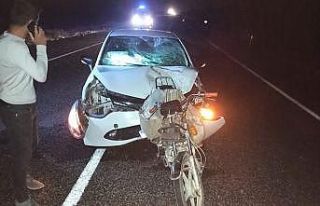 Şanlıurfa’da trafik kazası: 2 ölü