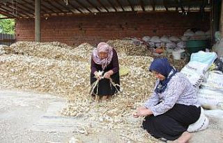 Sarımsak üreticileri uyardı: