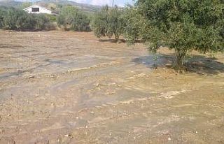 Şarköy’de hortum sonrası yaşanan selde evleri...