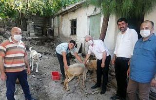 Saruhanlı Belediyesi Büyükbelen’de yaraları...