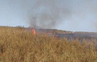 Sazlık alanda yangın