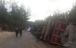 Sebze yüklü kamyonun devrildi, sürücü yaralandı