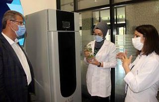 Şekere yerli tohum geliyor