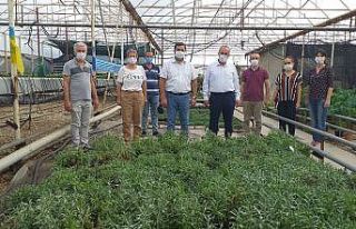 Serik’ten Van’daki 10 kadın çiftçiye 10 bin...