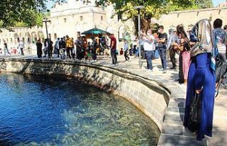 Serin havayı fırsat bilen vatandaşlar Balıklıgöl’e...