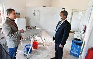 Sevimli Dostların Sağlığı Evcil hayvanlar Polikliniği...