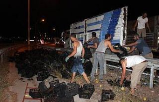 Seyir halindeki tır’ın yükü kaydı, limon sandıkları...