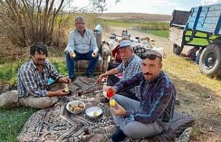 Seyitgazi Ziraat Odası Başkanı Erden çiftçilerin...