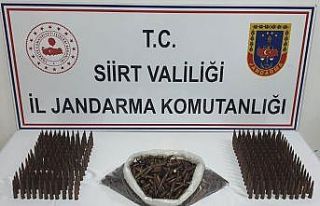 Siirt’te kaçakçılık operasyonu: 2 gözaltı
