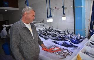 Sinop’ta 3 günlük kötü hava balık fiyatlarını...