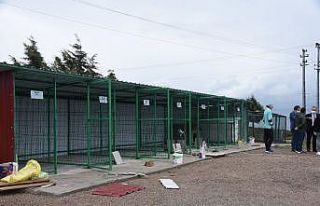 Sinop’ta can dostlar için “Empati Projesi”