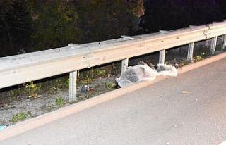 Sinop’ta otomobilin çarptığı yaya hayatını...