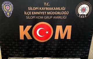 Şırnak’ta kaçakçılık operasyonu: 21 gözaltı