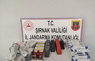 Şırnak’ta kaçakçılık operasyonu: 29 gözaltı