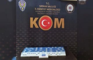 Şırnak’ta kaçakçılık operasyonu: 44 gözaltı