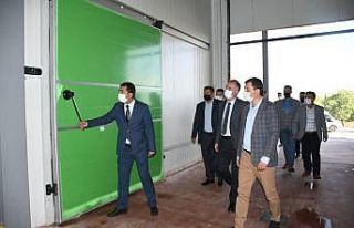 Soğuk hava deposu hizmet vermeye başladı