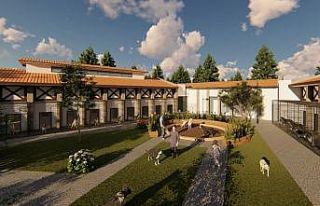 Sokak hayvanları için dev proje