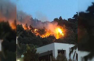 Söke’de zeytinlik ve ormanlık alanda yangın