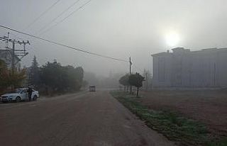 Şuhut’ta sis etkili oldu