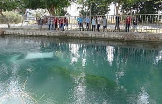 Sulama kanalında ölmekten kurtulan imam bu kez iki...