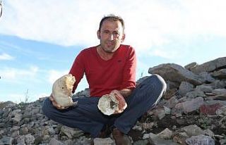 Sular çekilince ortaya çıktı, görüntüsü tüyler...